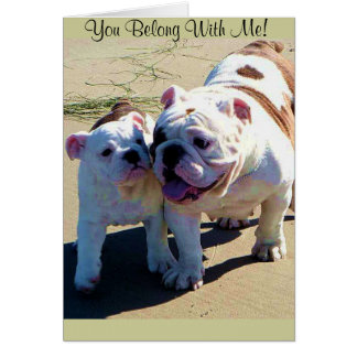 Vous Appartenez À Moi !