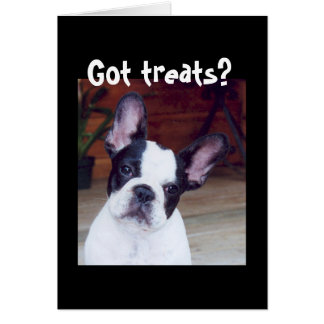 "Vous avez des friandises ?"