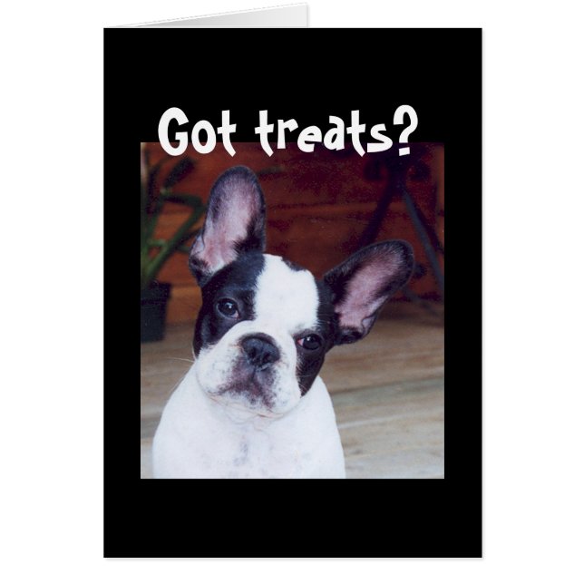 "Vous avez des friandises ?" (Devant)