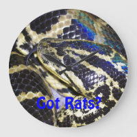 Vous avez des rats ? Horloge Anaconda