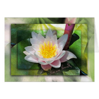 Vous avez rendu ma vie meilleure