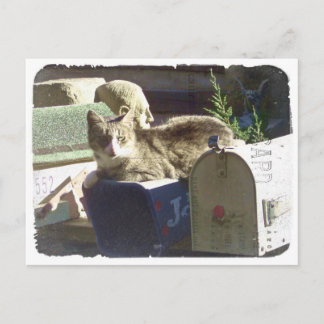 Vous avez une carte postale