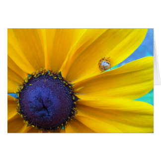 Vous envoyant du soleil