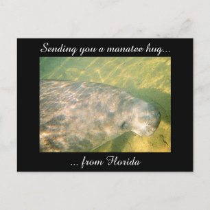 Vous envoyer un Hug Manatee de Floride carte posta