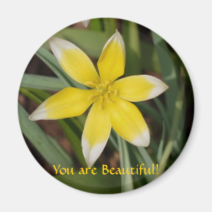 Vous êtes aimant de Beau-Fleur