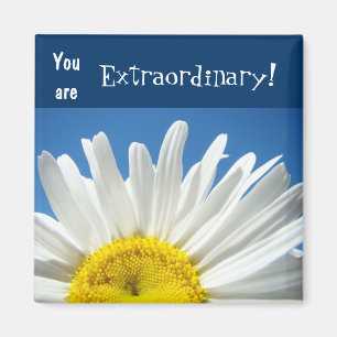 Vous êtes Extraordinaire ! aimants Blue Sky Daisy