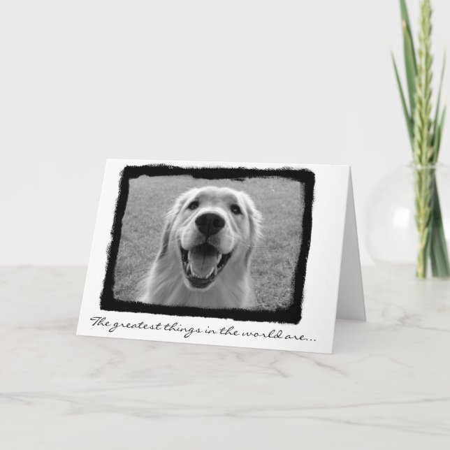 Vous êtes grand Merci ! (Devant)