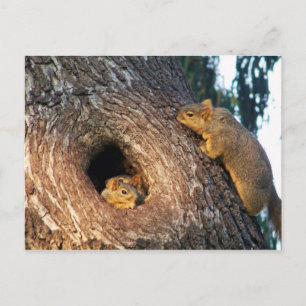 Vous êtes Invited_ Carte postale_by Elenne