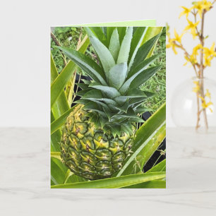 Vous êtes l'ananas de ma carte de voeux oculaire