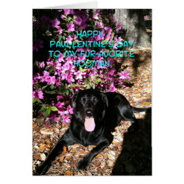 Vous êtes ma carte de la Saint Valentin préférée