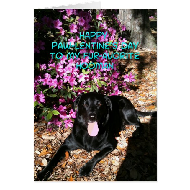 Vous êtes ma carte de la Saint Valentin préférée (Devant)