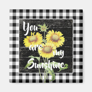 Vous êtes mon aimant solaire