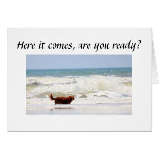 "VOUS" ÊTES PRÊT À TOURNER ****50****