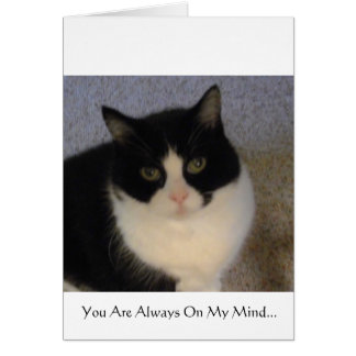 Vous êtes toujours sur mon esprit