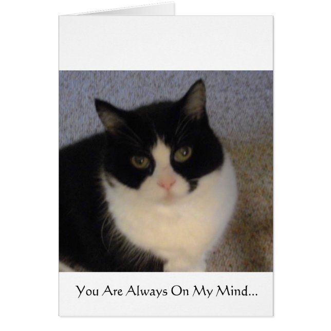 Vous êtes toujours sur mon esprit (Devant)