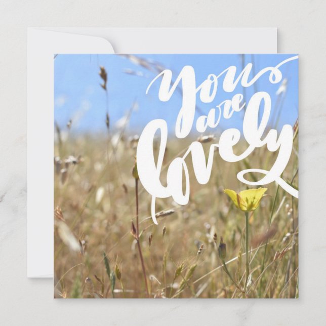 Vous Êtes Une Belle Carte (Devant)