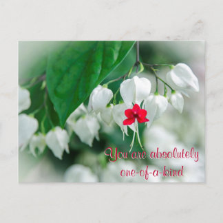 Vous êtes une carte postale unique