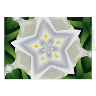 Vous êtes une étoile