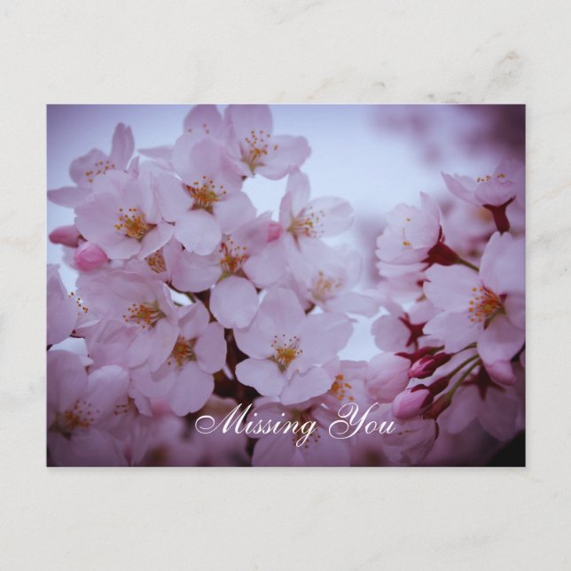 Vous manquant sur la carte postale de fleurs de ce (Devant)