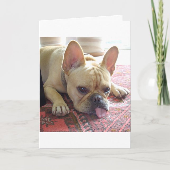 VOUS MANQUEZ ! CARTE BULLDOG FRANÇAISE (Devant)