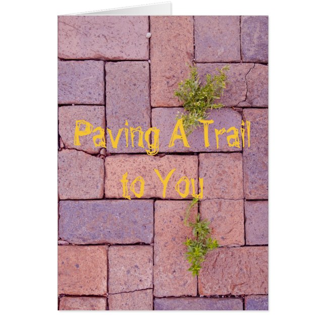 Vous Manquez Paving Stones Weeds Walkway Photo (Devant)