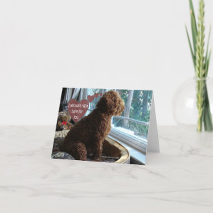 Vous manquez - Poodle - Carte