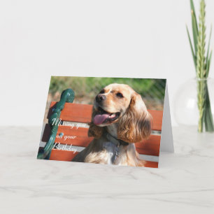 Vous manquez sur votre carte Anniversaire Cocker S