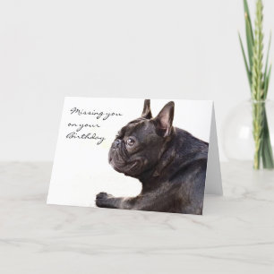 Vous manquez sur votre carte de Bulldog Français A