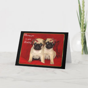 Vous manquez sur votre carte de voeux pour chiots