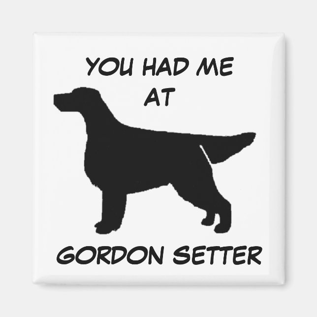 VOUS M'AVEZ EU À GORDON SETTER Magnet (Devant)