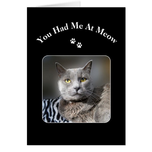 Vous M'Avez Eu Chez Meow Russian Blue Cat (Devant)
