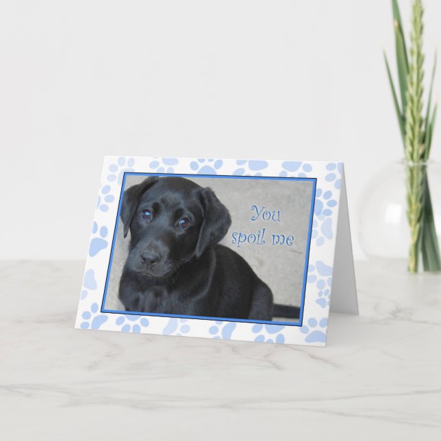 Vous Me Gâchez - Je l'aime ! Carte de remerciement (Devant)