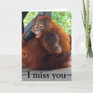 Vous me manquez et votre carte de câlin