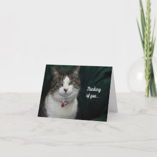 Vous me regardez en pensant à vous Carte