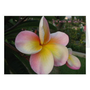 Vous m'incitez à sourire !