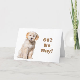 VOUS NE POUVEZ PAS ÊTRE **60** CARTE