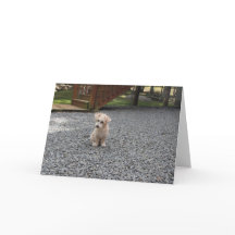 Vous n'êtes pas seule carte de voeux