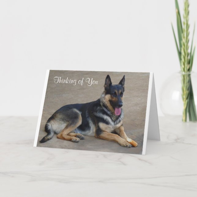 Vous pensez à la carte de voeux allemande de chien (Devant)