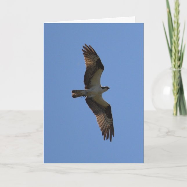 "Vous pouvez voler !" Carte de voeux, poème à (Devant)