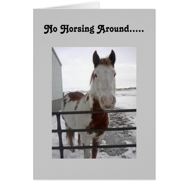 VOUS POUVEZ VOUS CHEVAUCHER AUTOUR DU 40e (Devant)