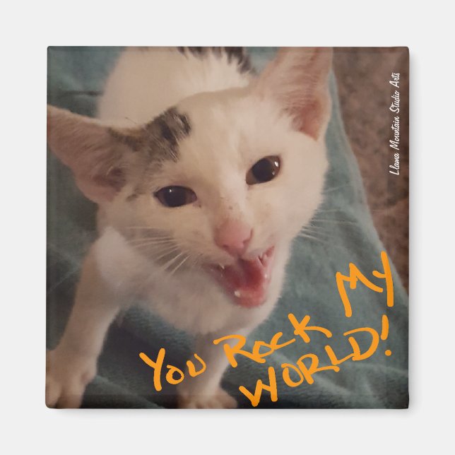 Vous Rock My World ! Aimant chaton (Devant)