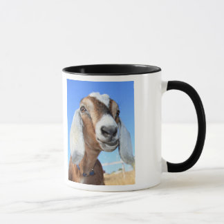 Vous vieille tasse de club de chèvre