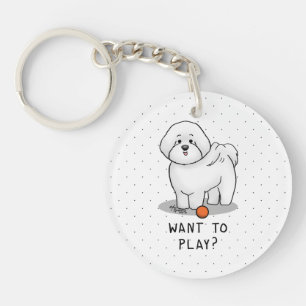 Vous voulez jouer ? Bichon Frise Chien avec balle 