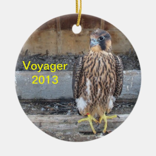 Voyager-Verzierung 2013 Keramik Ornament (Vorne)