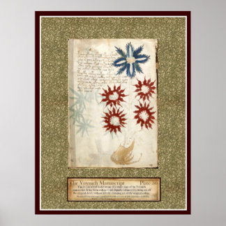 Voynich Plate 30 Poster