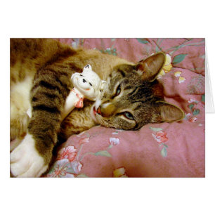 Vrai chat, Fake chat