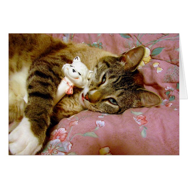 Vrai chat, Fake chat (Devant horizontal)