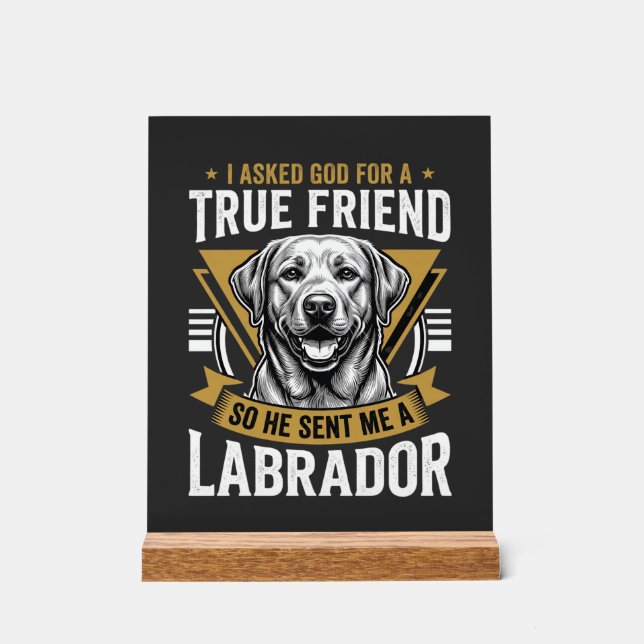 Vrai chien Labrador ami (Recto)