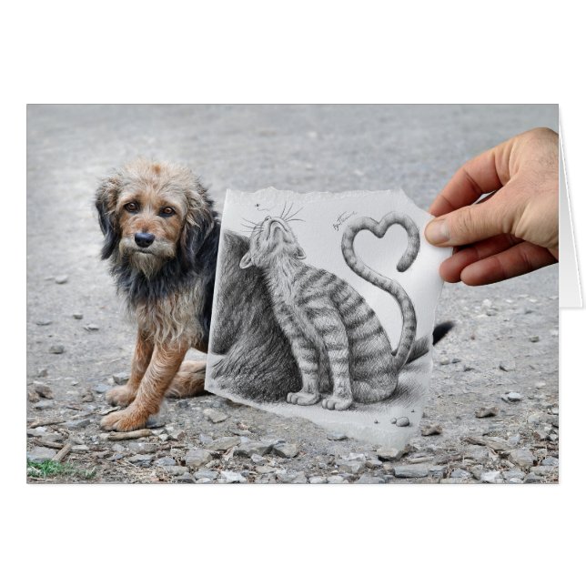 VS-Kamera - Hund und Katze (Vorderseite (Horizontal))