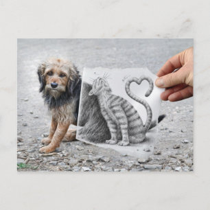 VS-Kamera - Hund und Katze Postkarte